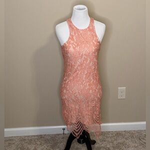 Express Lace Dress